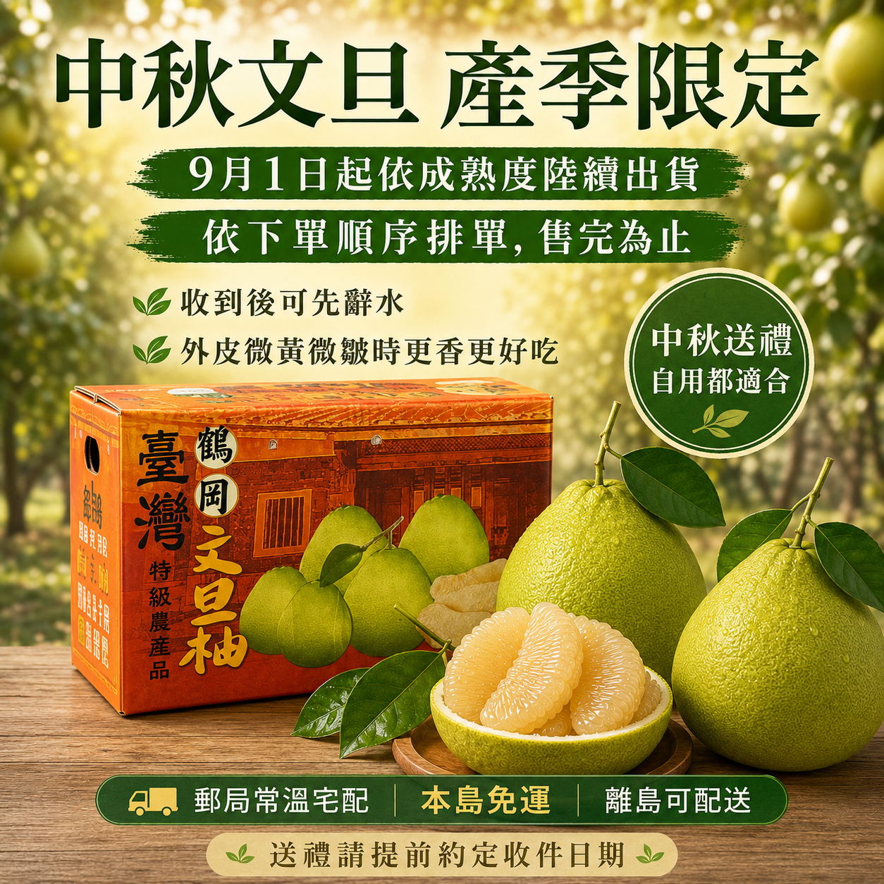 【預購商品】花蓮 鶴岡 40年老欉文旦 10斤 特選級(約8-10粒)/老饕級(約11-16粒)