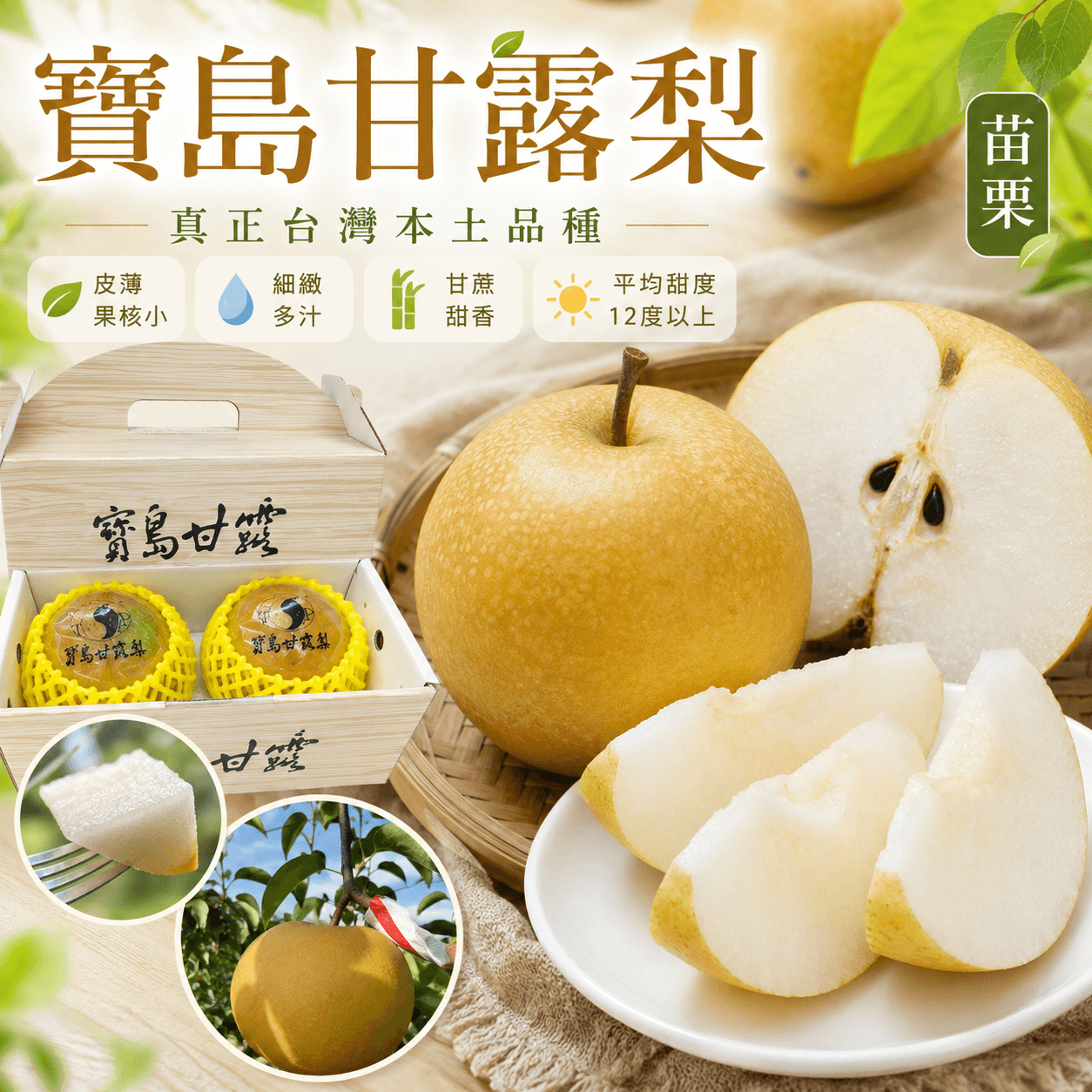 【預購商品】寶島甘露梨 甜度高 果肉細緻